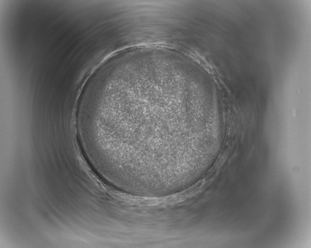 X0000075840002200609291450