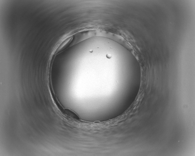 X0000075840003200609291450