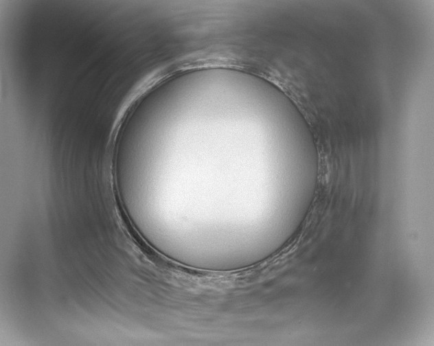 X0000075840004200609291450