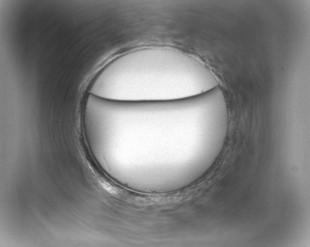 X0000075840005200609291450