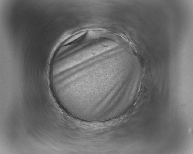 X0000075840006200609291450