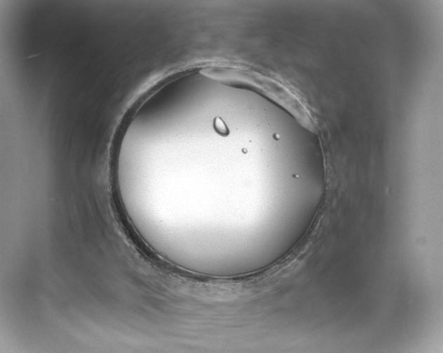 X0000075840008200609291449