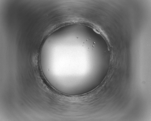 X0000075840010200609291449