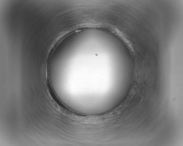 X0000075840011200609291449