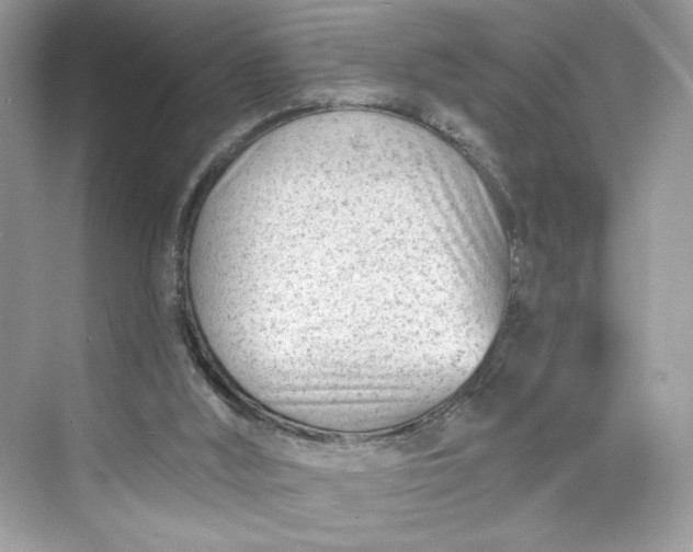 X0000075840012200609291449