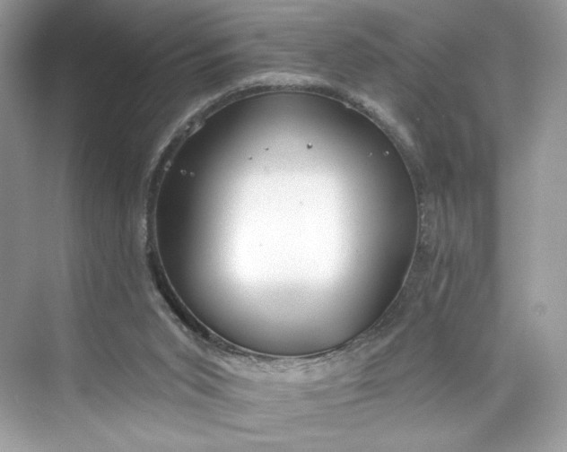 X0000075840015200609291449