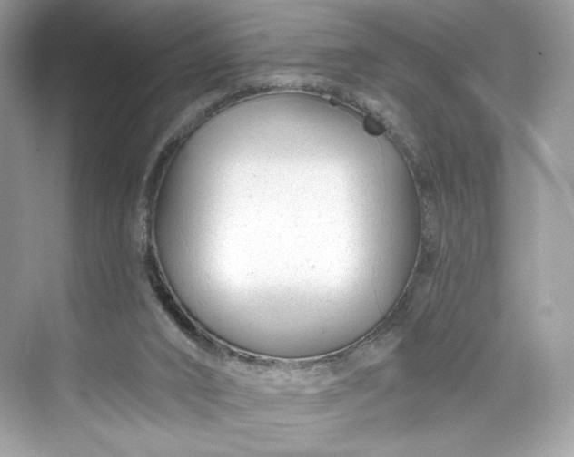 X0000075840016200609291449