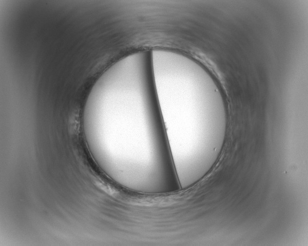 X0000075840017200609291449