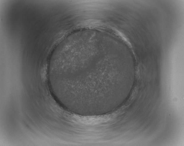 X0000075840018200609291449