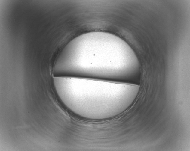 X0000075840021200609291449