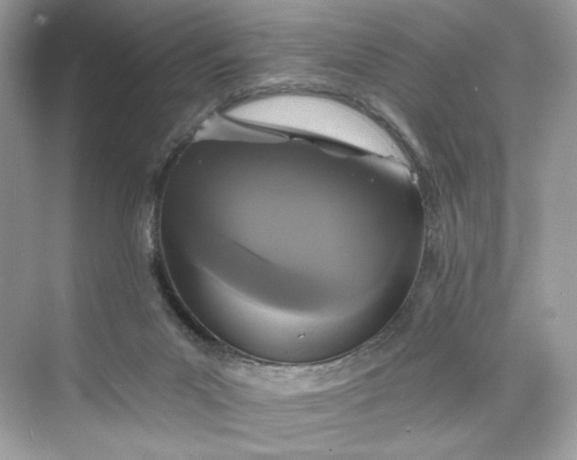 X0000075840023200609291449