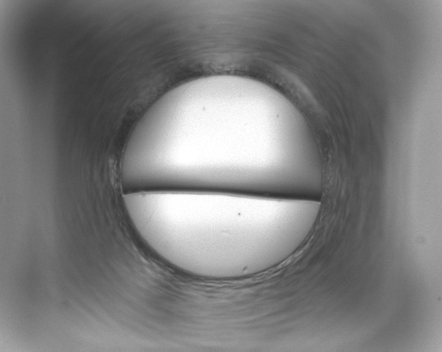 X0000075840025200609291449