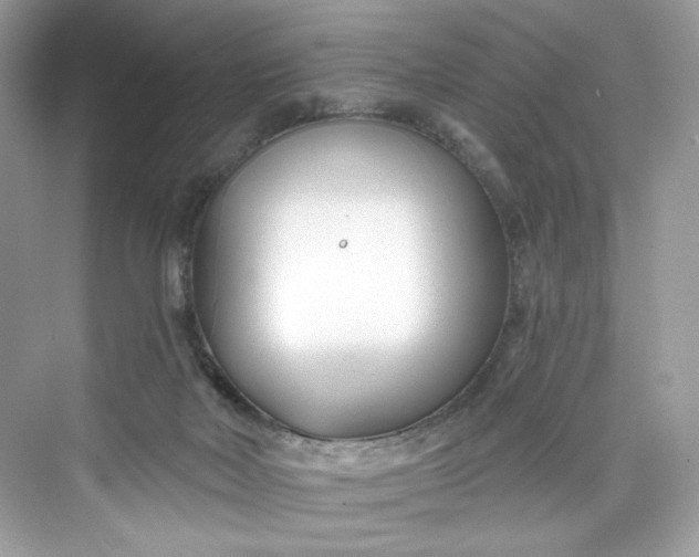 X0000075840026200609291449