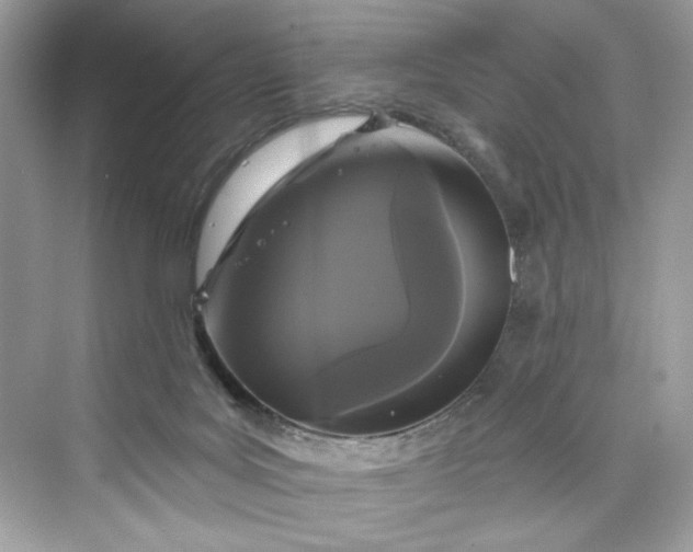 X0000075840027200609291449