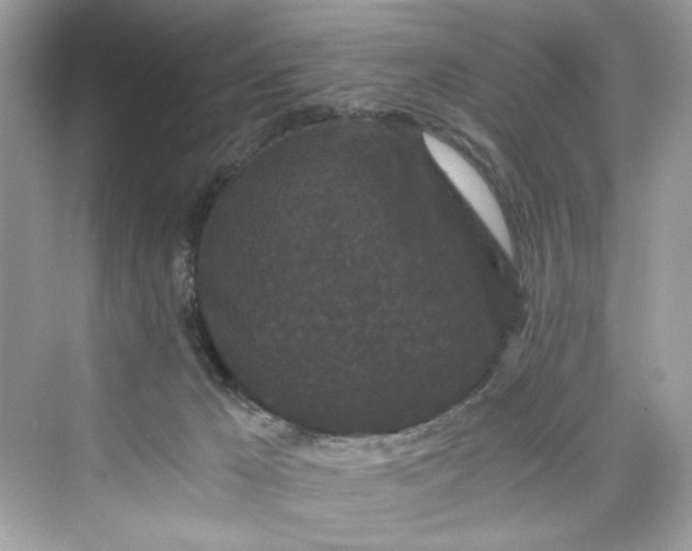 X0000075840029200609291449