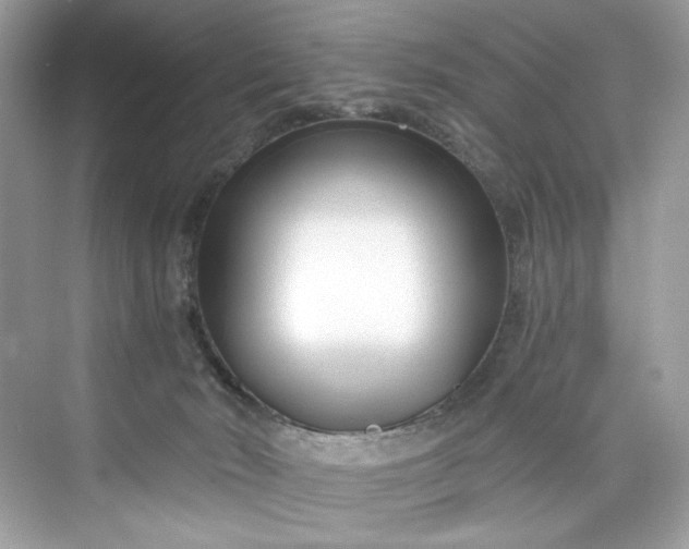 X0000075840030200609291449