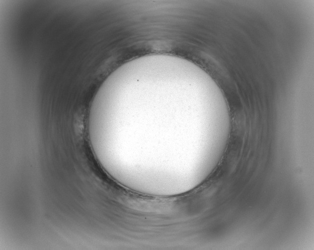 X0000075840032200609291449