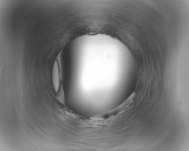 X0000075840033200609291449