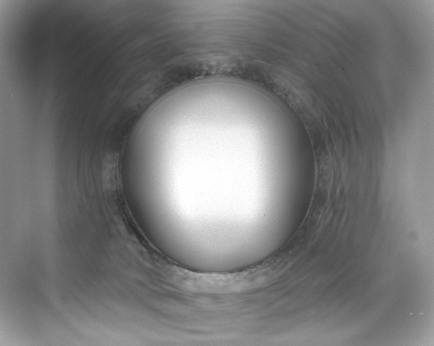 X0000075840034200609291449