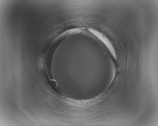 X0000075840035200609291449