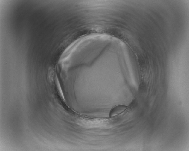 X0000075840036200609291449