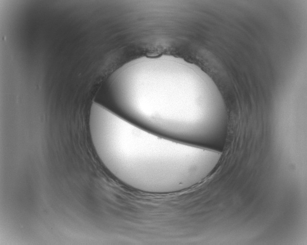 X0000075840037200609291449