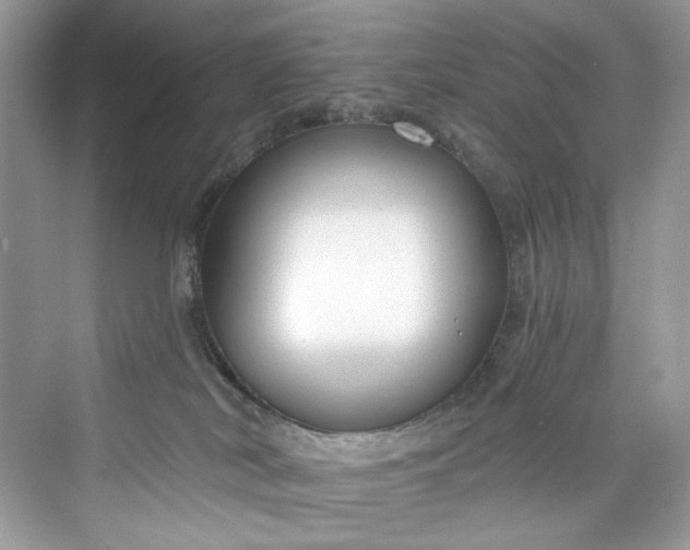 X0000075840038200609291449