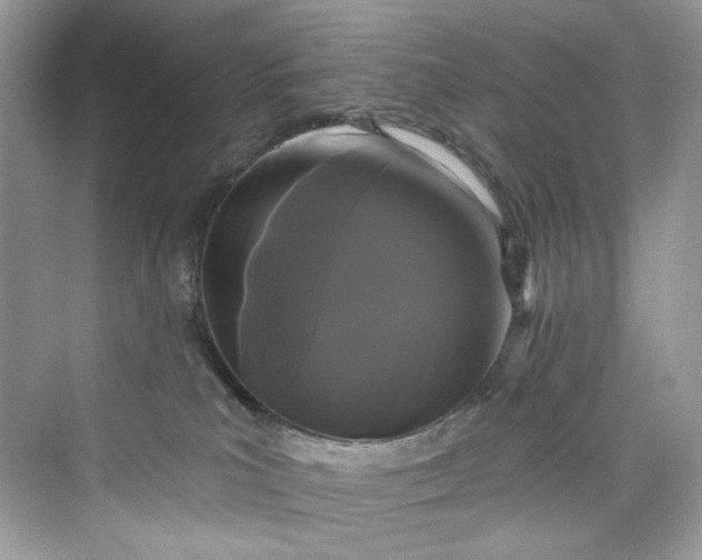 X0000075840039200609291449