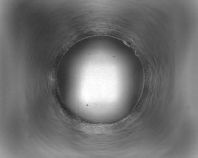 X0000075840040200609291449