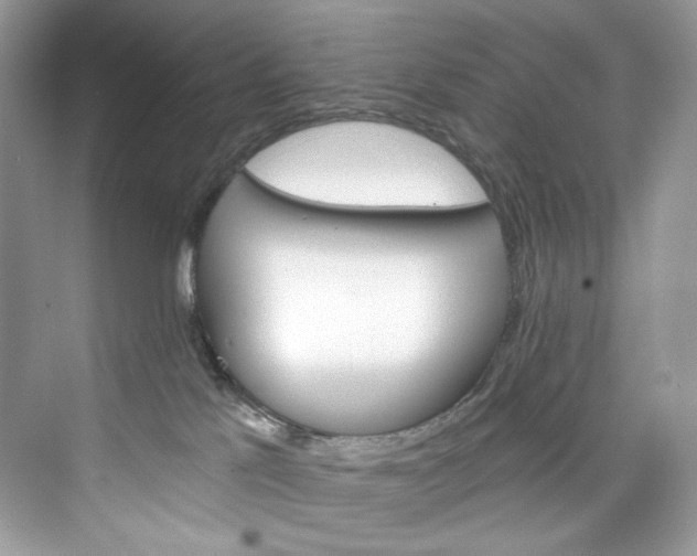 X0000075840041200609291449