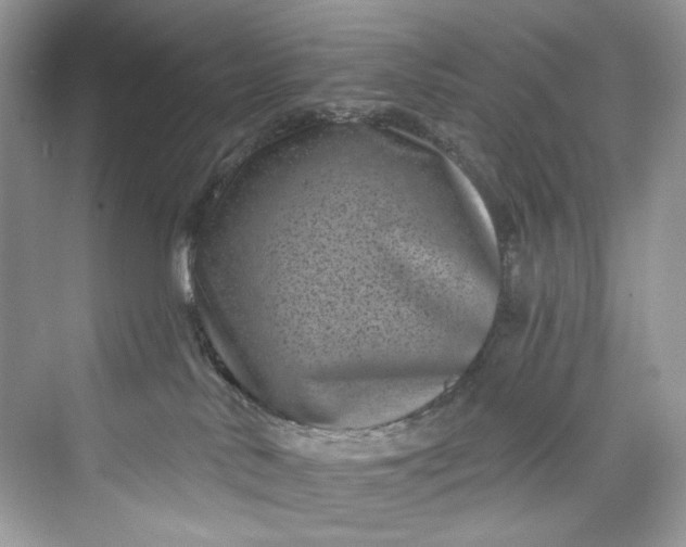 X0000075840042200609291449