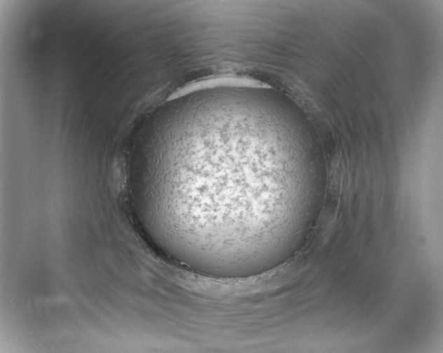 X0000075840043200609291449