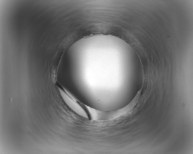 X0000075840045200609291449