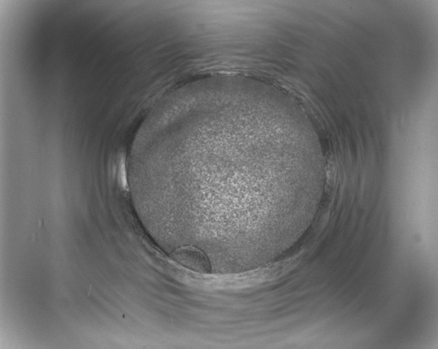 X0000075840046200609291449