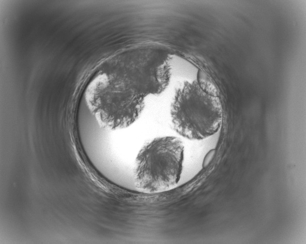 X0000075840049200609291448