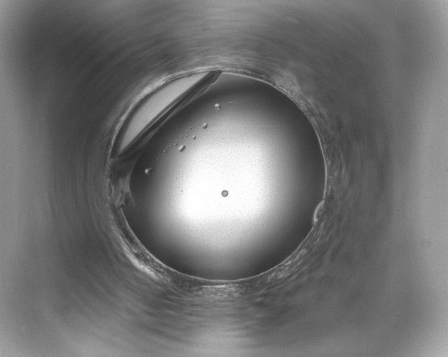 X0000075840050200609291448