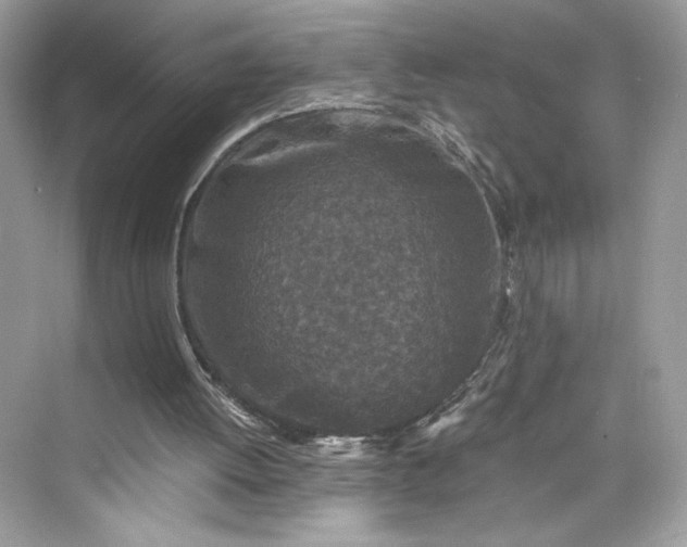 X0000075840052200609291448