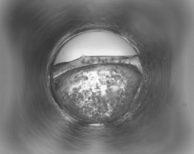 X0000075840053200609291448