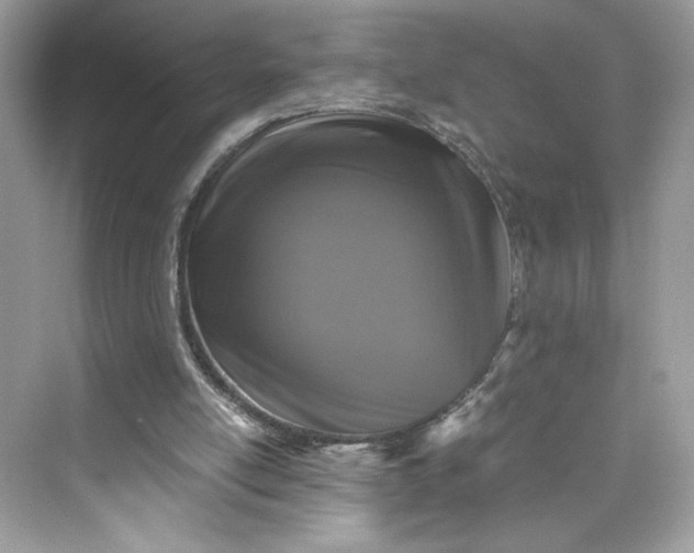 X0000075840054200609291448