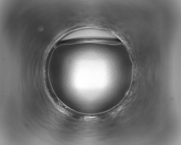 X0000075840055200609291448