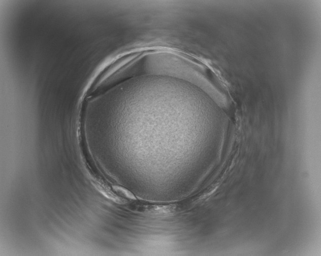 X0000075840056200609291448