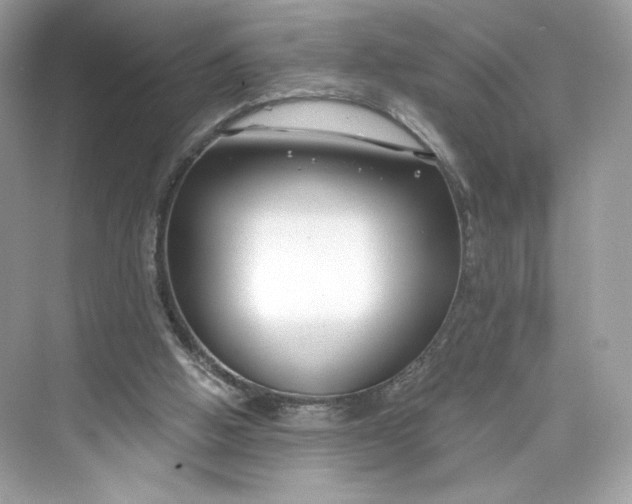 X0000075840058200609291448