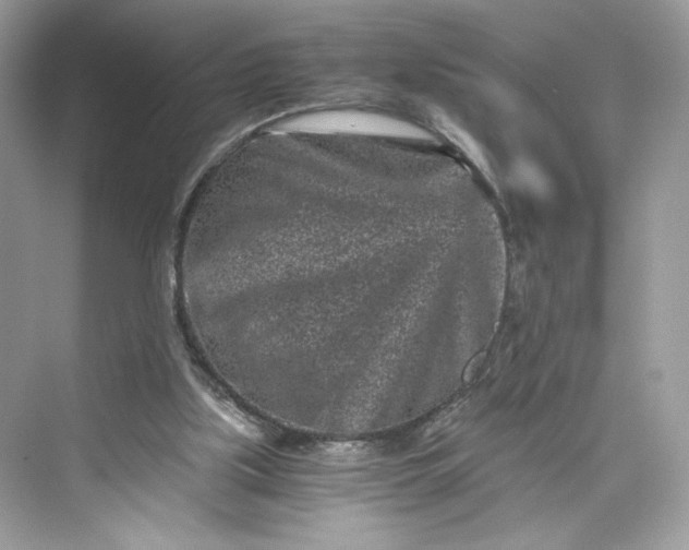 X0000075840059200609291448