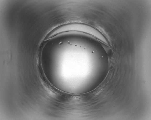 X0000075840060200609291448