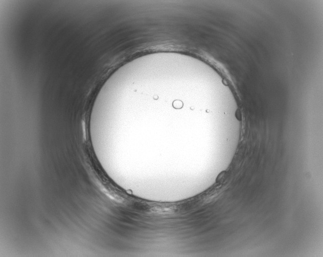 X0000075840061200609291448