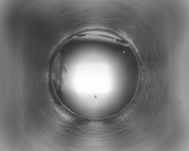 X0000075840063200609291448