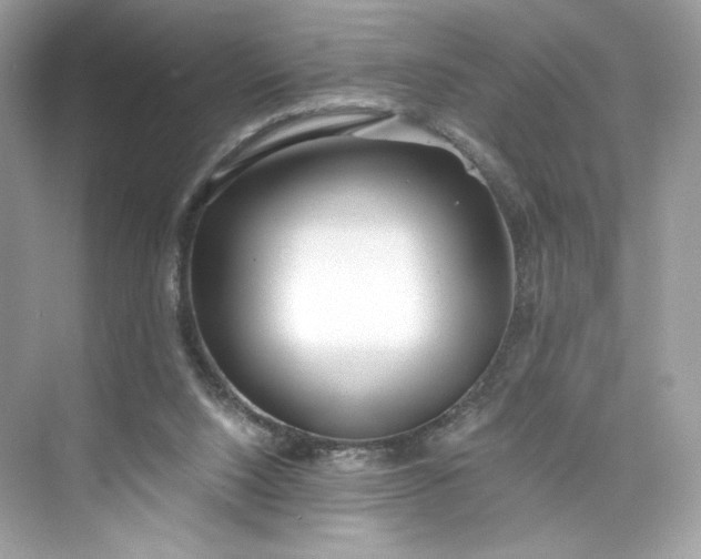 X0000075840064200609291448