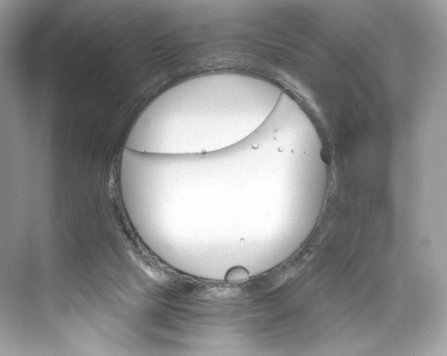 X0000075840065200609291448