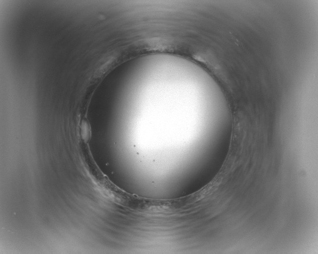 X0000075840066200609291448