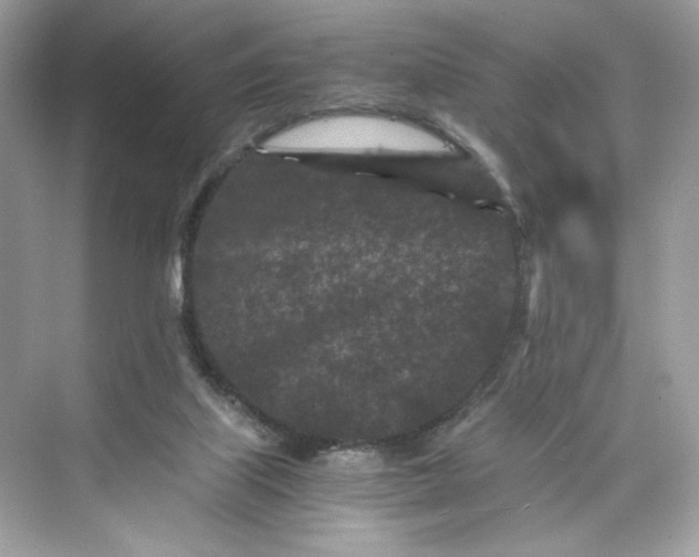 X0000075840067200609291448